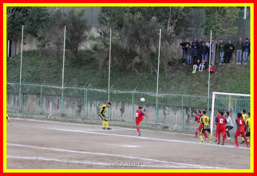 181111 Cepha_Milazzo 287_tn.JPG